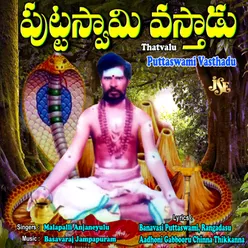 Puttaswami Vasthadu